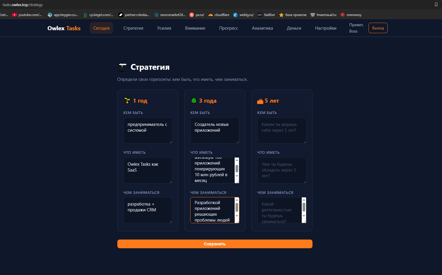 Стратегия 1 / 3 / 5 лет